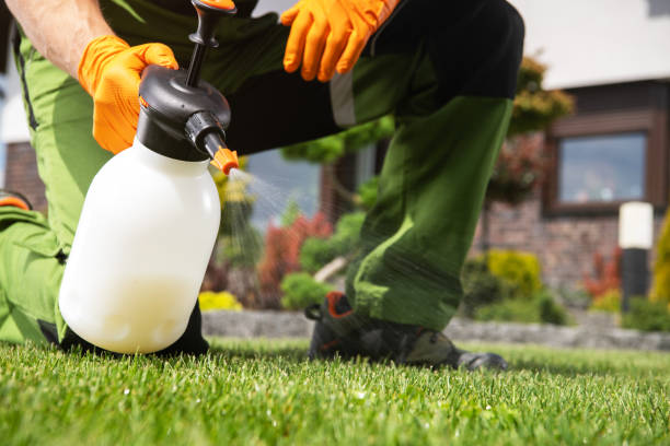 Best Residential Pest Control  in Cumberland, WI